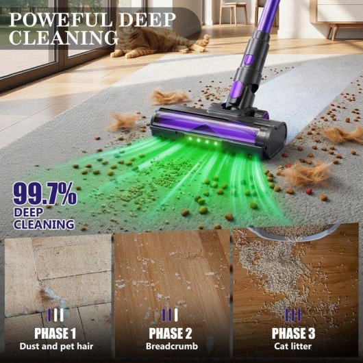 Aspiradora sin Cable Blossom V20 600W 55 kPa 65 min Verde Azul Morado
