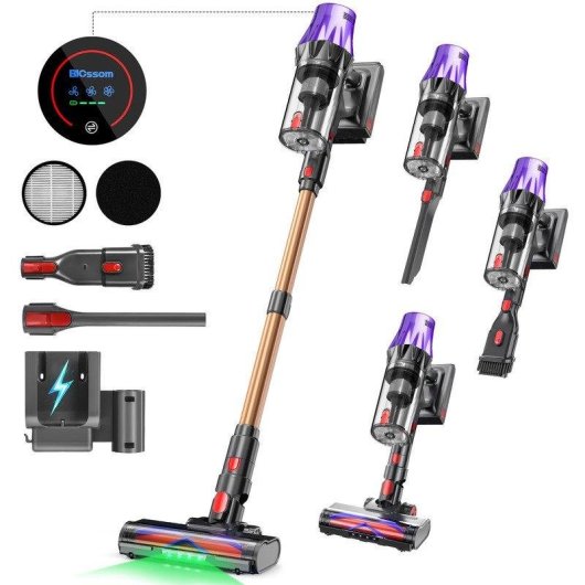 Aspiradora sin Cable Blossom V20 600W 55 kPa 65 min Cepillo Motorizado Verde Morado Dorado
