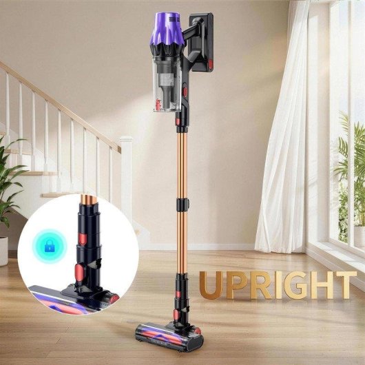 Aspiradora sin Cable Blossom V20 600W 55 kPa 65 min Cepillo Motorizado Verde Morado Dorado