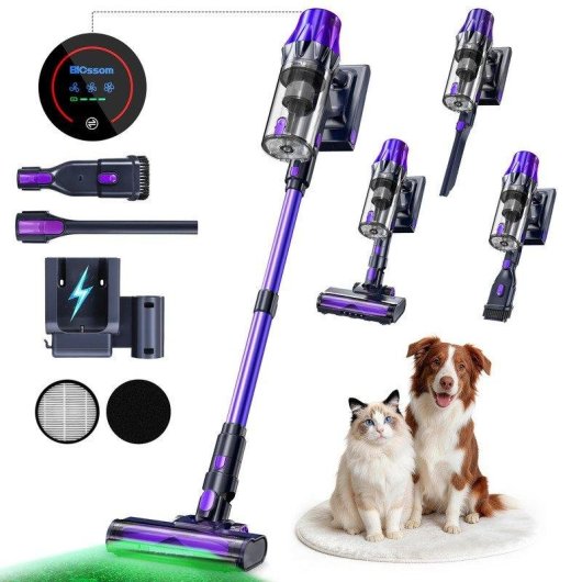 Aspiradora sin Cable Blossom V20 650W 55 kPa 65 min Láser Verde Morado