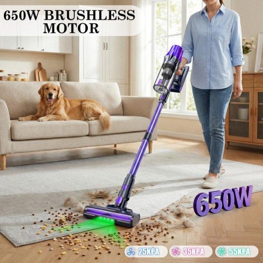 Aspiradora sin Cable Blossom V20 650W 55 kPa 65 min Láser Verde Morado