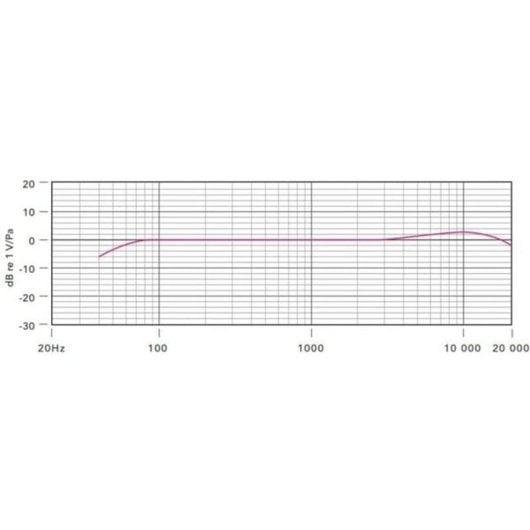 Microphone Rode NTG3 XLR supercardioïde avec technologie RF et résistance à l'humidité