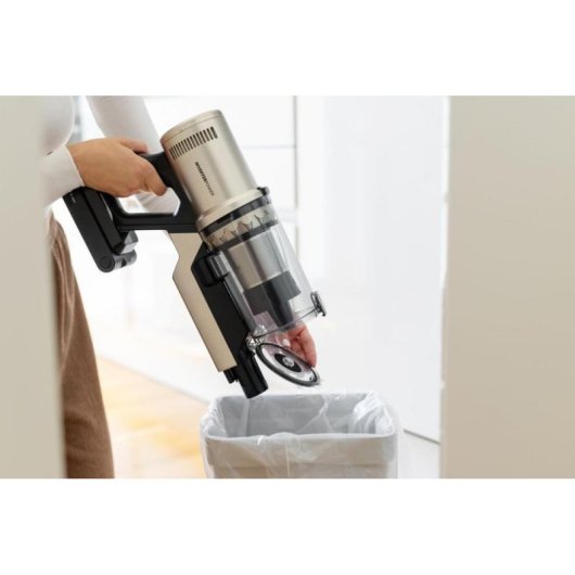 Aspirapolvere senza Fili Gorenje SVC259441NFGO 350W 40 min Anti-groviglio Animali Oro