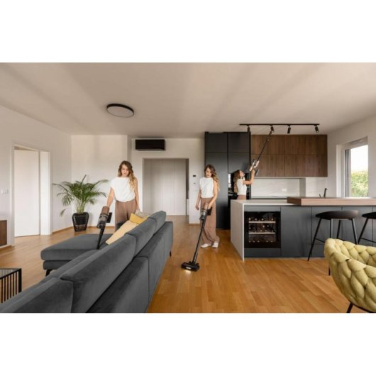 Aspirapolvere senza Fili Gorenje SVC259449NDCO 350W 25,9V 0,6L Anti-groviglio Animali Rame