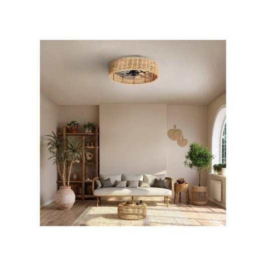 Ventilador de Techo con Luz FARELEK Alyzia 20W 40cm 6 Velocidades Motor DC Mando Temporizador Función Invierno