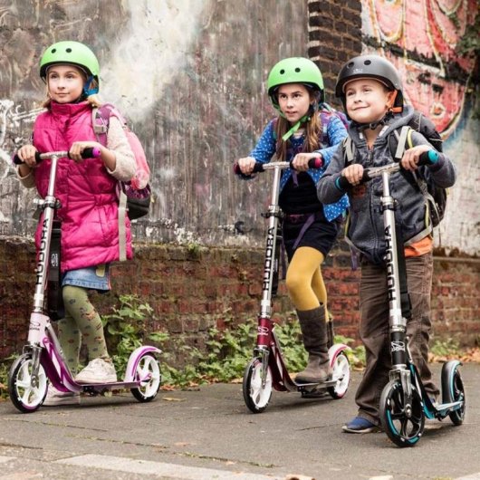 Patinete clásico Hudora Big Wheel 205 2 ruedas 100 kg plegable rosa