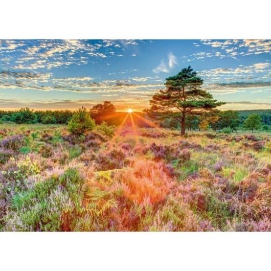 Puzzle Schmidt Spiele 59768 Flora 1000 pièces