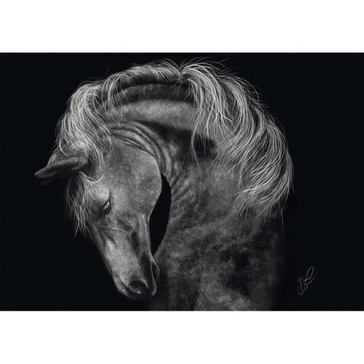 Puzzle 1000 pièces Schmidt Spiele Ashley Rader Cheval