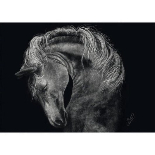 Puzzle 1000 pièces Schmidt Spiele Ashley Rader Cheval