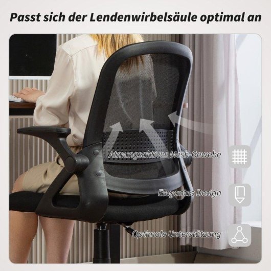 Silla Giratoria Ergonómica Rolipo con Reposabrazos Abatibles y Soporte Lumbar Negra