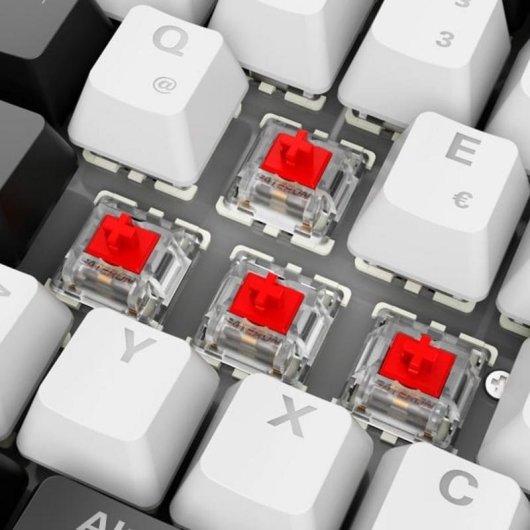 Teclado Sharkoon SGK50 S2 mecánico gaming con switches Gateron Red y RGB alemán
