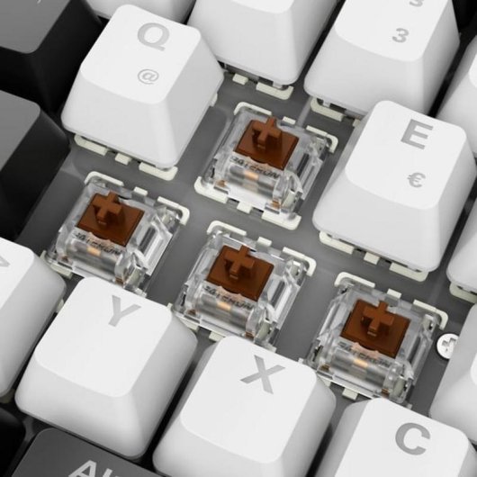 Teclado Sharkoon SGK50 S2 mecánico intercambiable en caliente alemán RGB 96 %