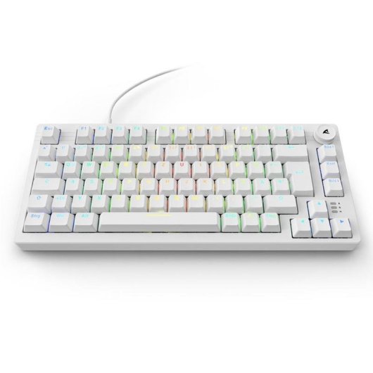 Teclado Sharkoon SGK25 mecánico gaming 75% Hot-Swap RGB alemán QWERTZ blanco