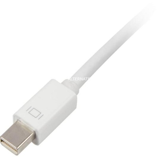 Adaptateur Mini DisplayPort vers DVI Sharkoon 0,15 m or