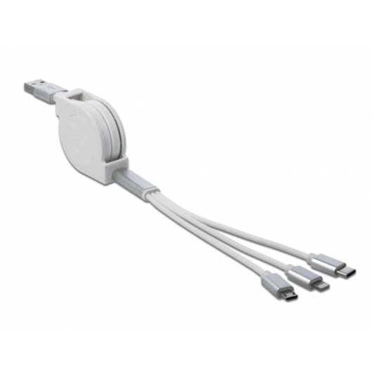 Câble USB DeLOCK 85850 0,98 m USB 2.0 Argent Blanc