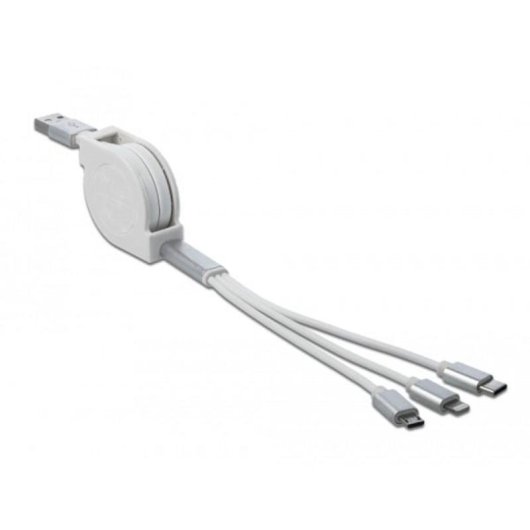 Câble USB DeLOCK 85850 0,98 m USB 2.0 Argent Blanc