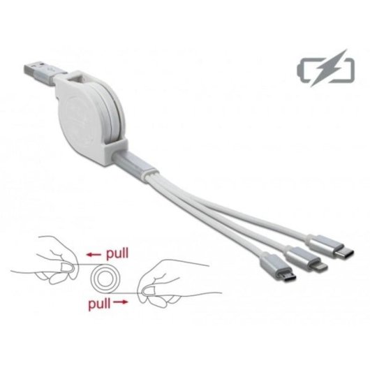 Câble USB DeLOCK 85850 0,98 m USB 2.0 Argent Blanc