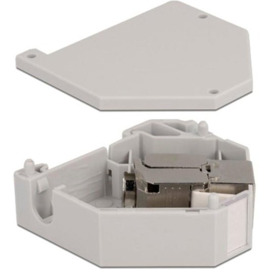 Adaptador de carril DIN con módulo Keystone RJ-45 hembra Cat.6A LSA DeLOCK