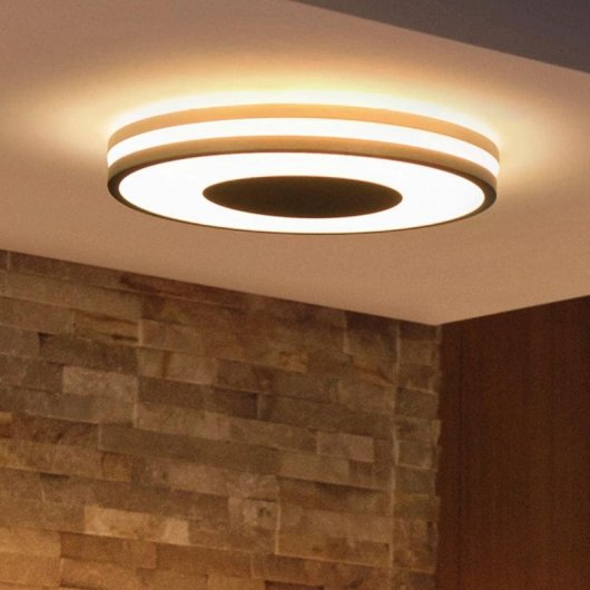 Plafond Lumière de Toit Intelligent Philips Hue White Ambiance Noir