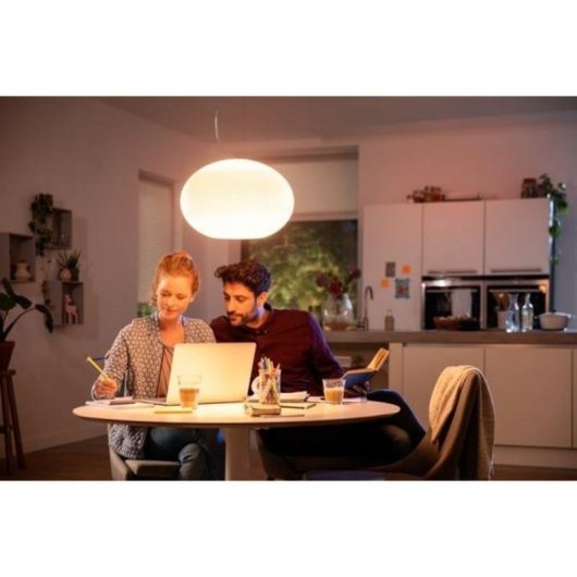 Lampe suspendue intelligente Philips Hue White and Color ambiance Flourish