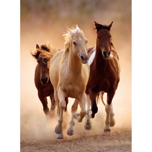 Puzle de 1000 piezas Clementoni Animales Caballos para adultos