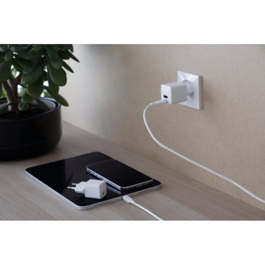 Caricatore USB-C 20W Dbramante1928 CH20EUWH7093 Interno Bianco
