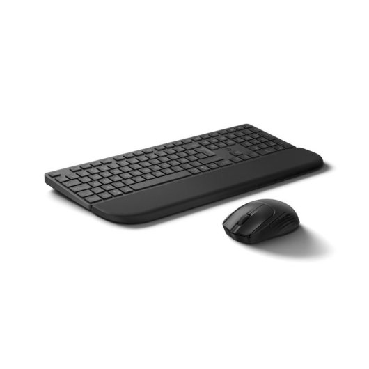 Clavier HP MultiDvcDuMdMSEKBCombowPR585C noir avec souris et repose-poignets
