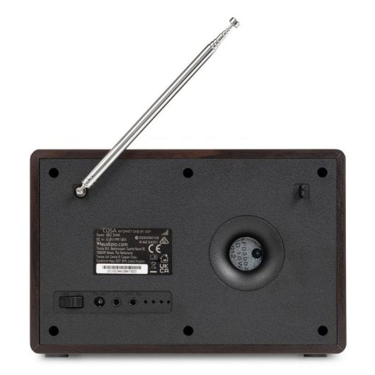 Radio Audizio Cosa-DWD 30W RMS WiFi Bluetooth 5.2 DAB+ FM Despertador