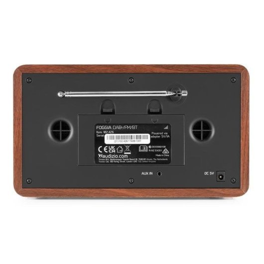 Radio Audizio Foggia 50W RMS Bluetooth 5.0 DAB+ FM con alarma