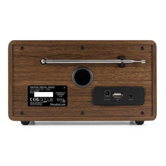 Radio Audizio Padova 40W RMS Bluetooth 5.0 DAB+/FM USB con mando