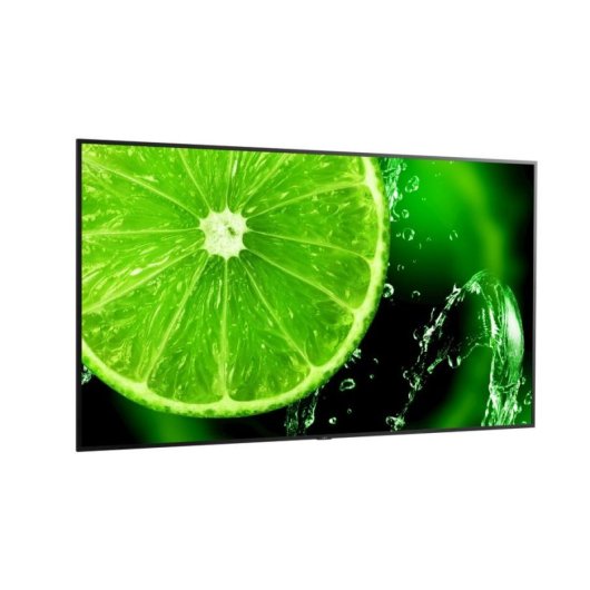 Écran PC NEC MultiSync E988 98" UltraHD 4K 60Hz IPS HDR Haut-parleurs