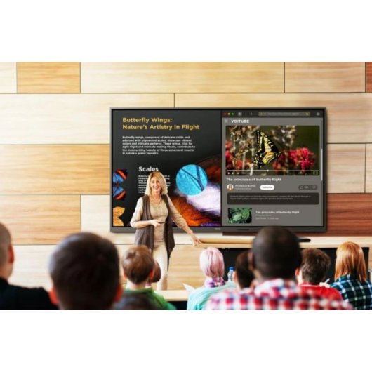 Pizarra Interactiva ViewSonic IFP110 110" 4K Ultra HD Android