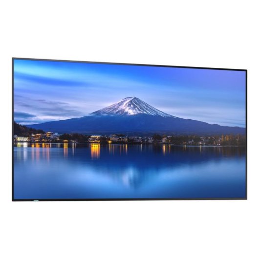 Monitor NEC MultiSync P436 43" UltraHD 4K 60Hz IPS HDR Direct-LED señalización profesional