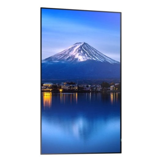 Monitor NEC MultiSync P436 43" UltraHD 4K 60Hz IPS HDR Direct-LED señalización profesional