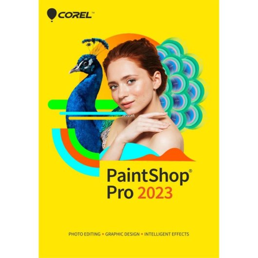 Grafikeditor Corel PaintShop Pro 2023 1 Lizenz Box Windows
