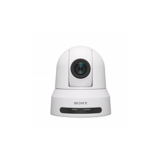 Cámara IP Sony SRG-X40UH 4K Interior Alámbrica Techo y Pared