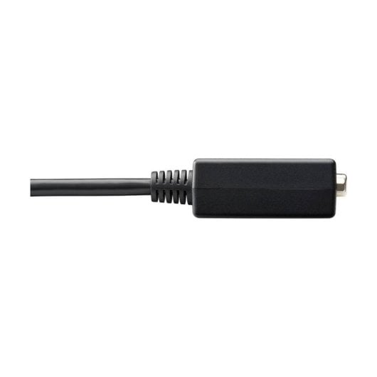 Adaptador Ativo DisplayPort para VGA Tripp Lite P134-06N-VGA 1920x1200 1080p