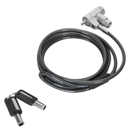 Cavo antifurto Targus ASP95MKGLX-25 2 m chiave acciaio zincato argento