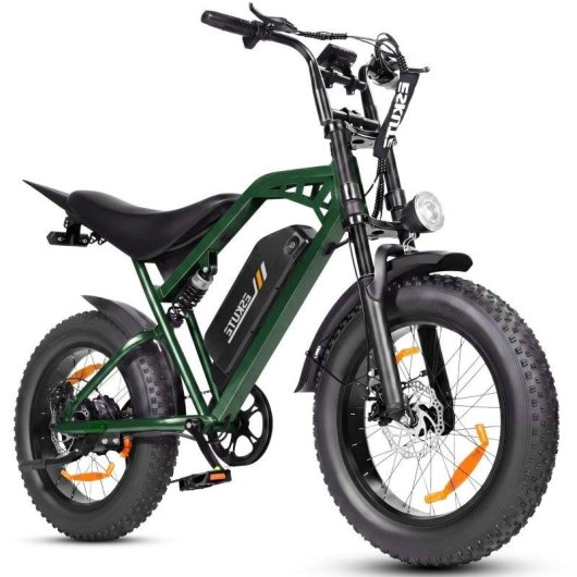Mota Elétrica Eskute V202 250W 48V 20.8Ah 20x4 Freios Mecânicos Verde