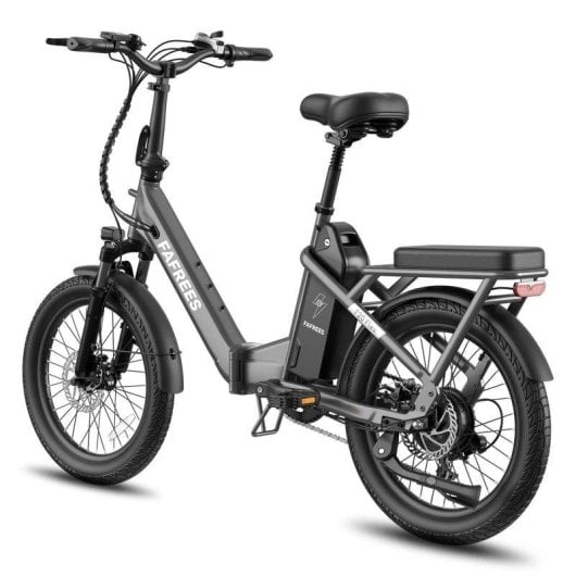 Elektrofahrrad Fafrees F20 Flex - Motor 250 W, Scheibenbremsen Mechanisch - Grau Gewehrschaft