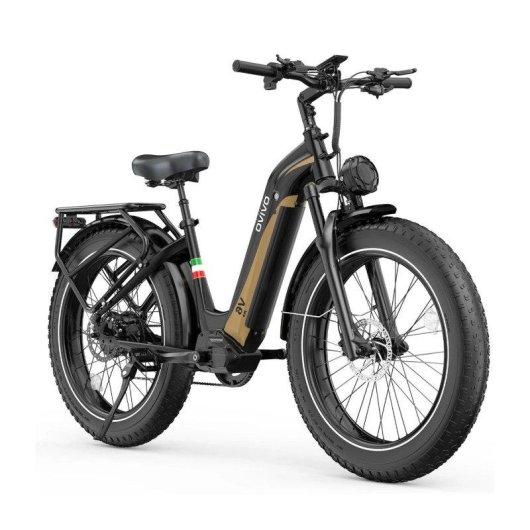 Bicicleta Eléctrica OVIVO V6 Pro 250W 48V 20Ah 26" Frenos Hidráulicos Negro Oro