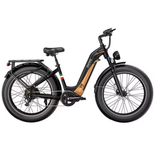 Bicicleta Eléctrica OVIVO V6 Pro 250W 48V 20Ah 26" Frenos Hidráulicos Negro Oro
