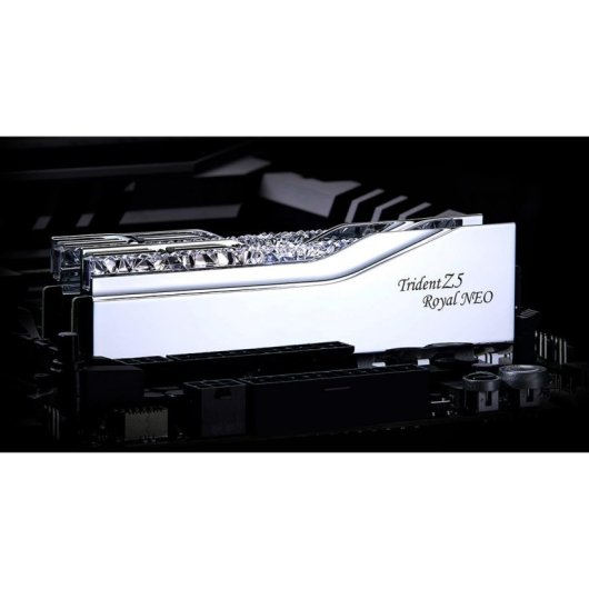 Memoria RAM G.Skill Trident Z5 Royal Neo 48GB 2x24GB DDR5 8000MHz CL40 AMD EXPO RGB Argento