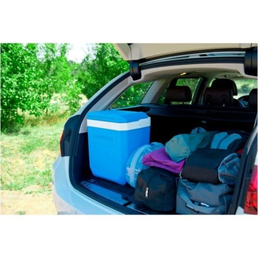 Campingaz Icetime Plus 30L Nevera Portátil 30 L