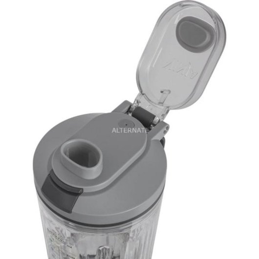 Tragbarer Mixer Ninja BC251EUSL 0,57 L Eiszerkleinerer Silber Transparent