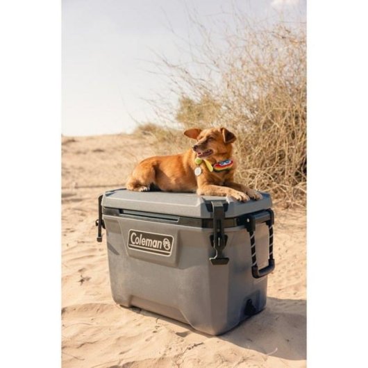 Kühltasche Coleman Convoy 55 QT 53 L Grau Polyurethan
