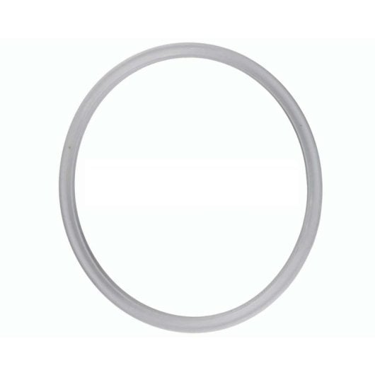 Goma Olla Presión Fagor Splendid Ø25 Cm