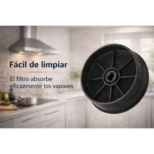 Kit Filtro Campana Extractora Electrolux – 2 Unidades | Recambio Original 9029798809