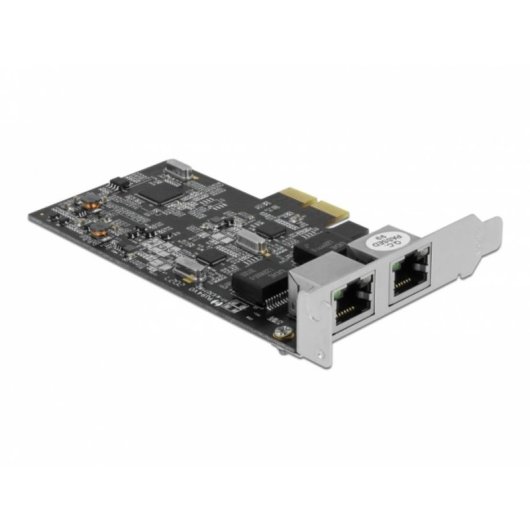 Tarjeta de red DeLOCK 89530 PCI Express x2 2 x RJ45 2,5 Gigabit LAN perfil bajo