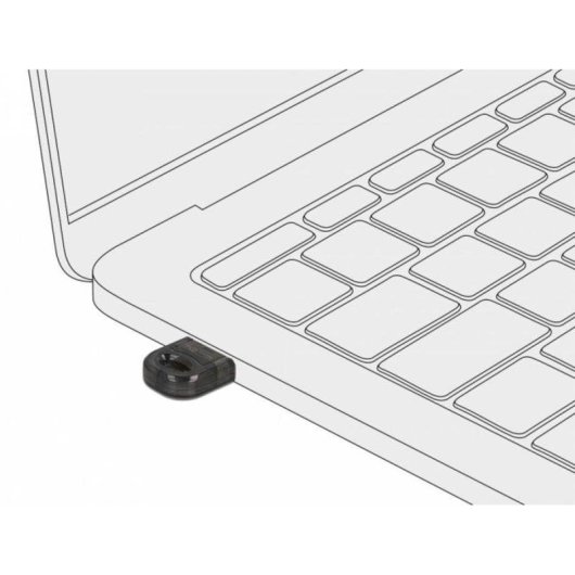 Carte Réseau Delock 61012 USB 2.0 Bluetooth 5.0 3 Mbit/s Compact